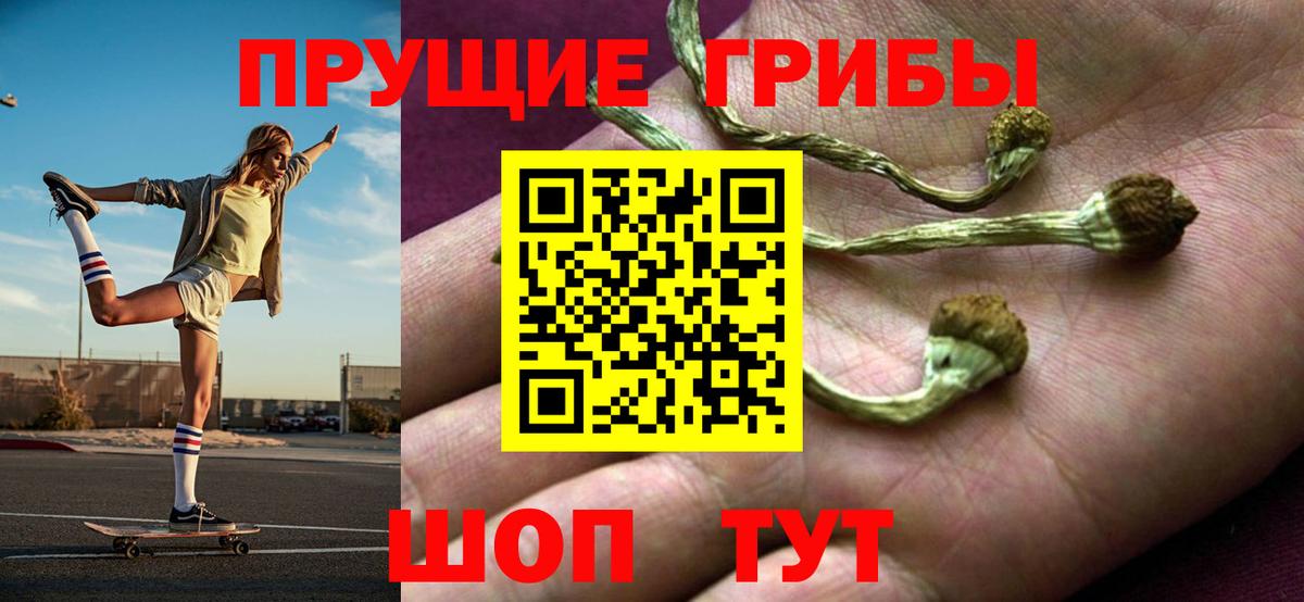 Нурлат  Псилоцибиновые грибы ЛСД  Вход с VPN 